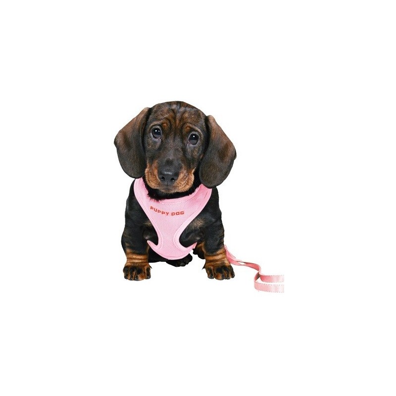 Trixie Puppy Soft petnešos su pavadėliu Trixie Puppy Soft petnešos su pavadėliu