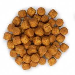 HILL'S Science Plan Canine Adult Large Breed Lamb & Rice