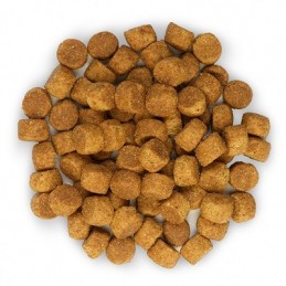 HILL'S Science Plan Canine Puppy Large Breed 