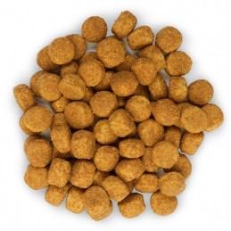 HILL'S Science Plan Canine Medium Adult Chicken