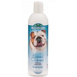 Bio Groom Natural Oatmeal šampūnas šunims ir katėms
