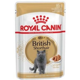 Royal Canin British Shorthair Wet
