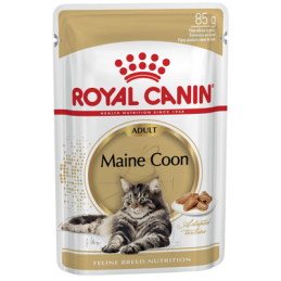 Royal Canin Maine Coon Wet