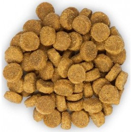 HILL'S Science Plan Feline Adult Chicken