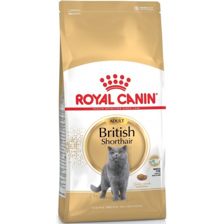 ROYAL CANIN British Shorthair sausas pašaras katėms