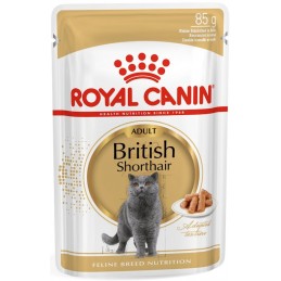 Canin British Shorthair...