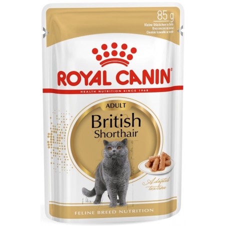 Royal Canin British Shorthair šlapias maistas katėms 12x85g