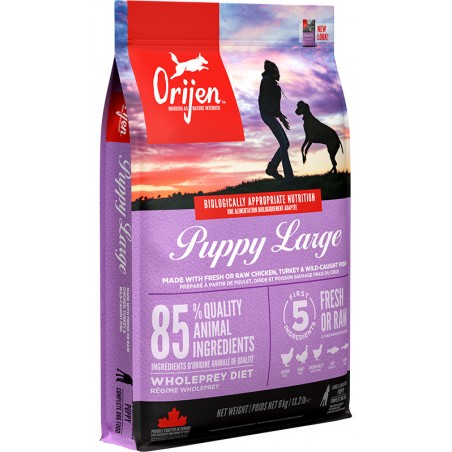 ORIJEN Puppy Large sausas pašaras šunims