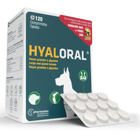 Hyaloral Giant N120 papildai sąnariams