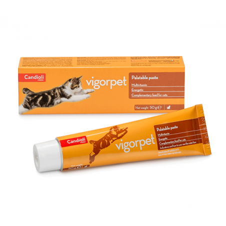 Candioli Vigorpet vitamininė-energetinė pasta katėms 50g