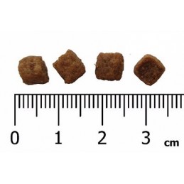 IRONpet BEEF Mini Adult