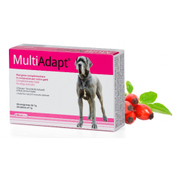 DOGOTEKA MultiAdapt 60 tabl.
