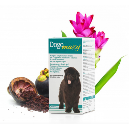 DOGOTEKA DOGOmaxy 60 tabl....