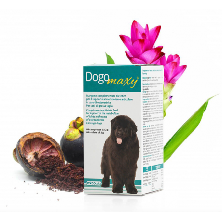 DOGOTEKA DOGOmaxy 60 tabl. papildai sąnariams ir kaulams