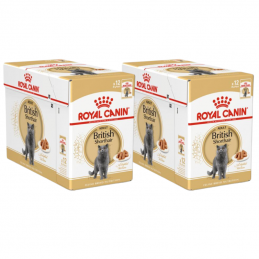 Royal Canin British...