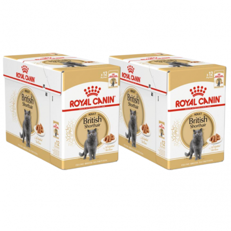 Royal Canin British Shorthair šlapias maistas katėms 24x85g