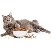 Sausas kačių maistas